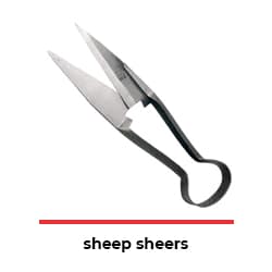 Sheep Sheers