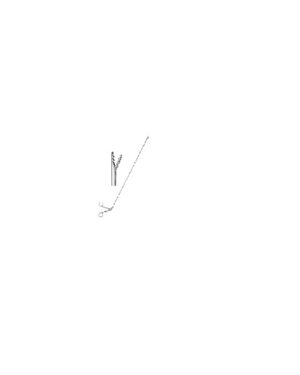 Chevalier-Jackson -Broncho-oesophagoscopy forceps - ENT