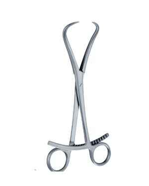 Technical Forceps 170 mm – 6 3/4