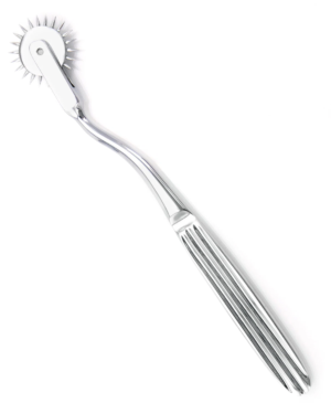 Wartenberg Pinwheel BDSM Stainless Steel