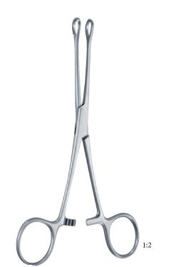 Williams Forceps