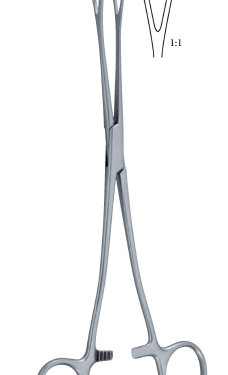 Lockwood Forceps