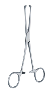 Allis Forceps