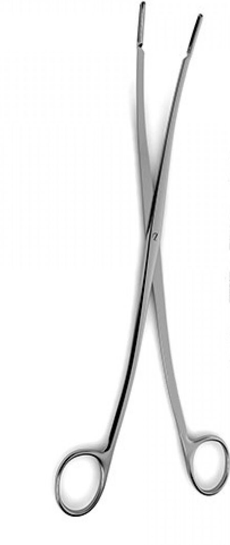 Randall Forceps