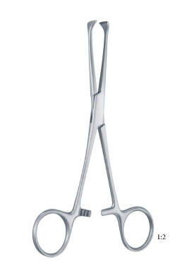 Allis-Adair Forceps