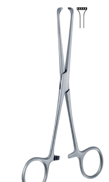 Boys-Allis Forceps