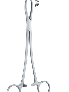 Littlewood Forceps