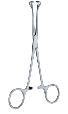 Babcock Atraumatic Forceps