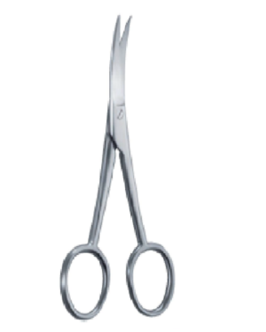 140mm 14cm Anatomy scissors