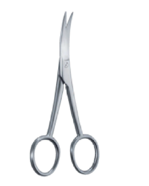 130mm 13cm Anatomy scissors