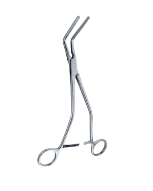 Hayes forcep 260mm - 10 1/4 ''