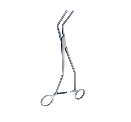 Hayes Forcep 260Mm - 10 1/4 ''