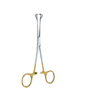 Babcock 160mm- 61/4'' Forcep