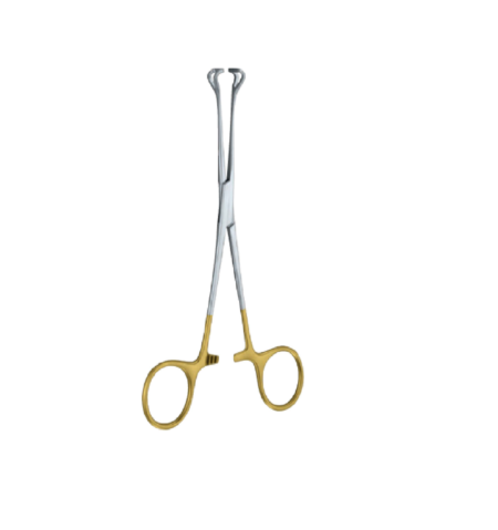 Babcock 160Mm- 61/4'' Forcep