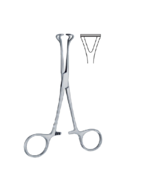 Babcock 140 mm - 51/2" Forcep