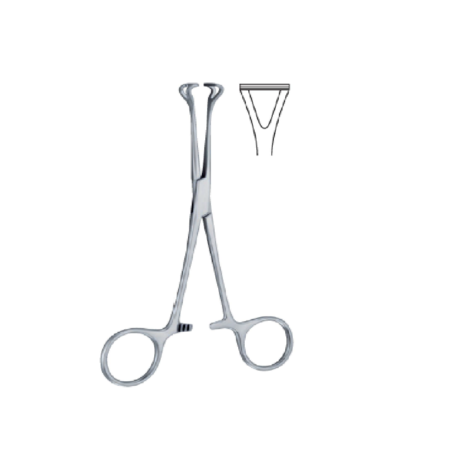 Babcock 140 Mm - 51/2&Quot; Forcep