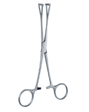 Duval 180mm - 7" Forcep