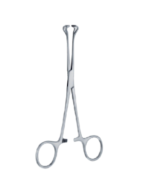 Babcock A trauma 160mm - 61/4 '' Forcep