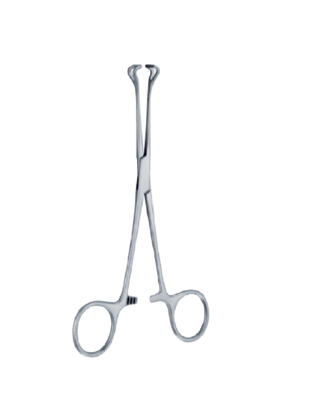 Babcock A Trauma 160Mm - 61/4 '' Forcep