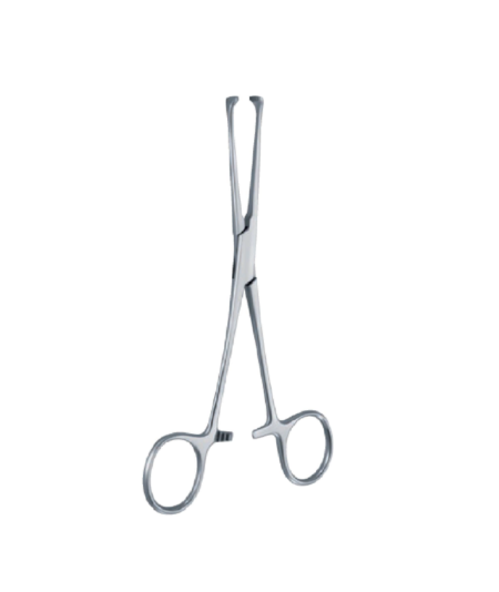 Allis-Atrauma 160Mm - 61/4 '' Forcep