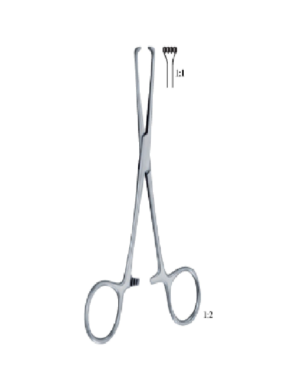 Allis-Baby 130 mm - 5" Forcep