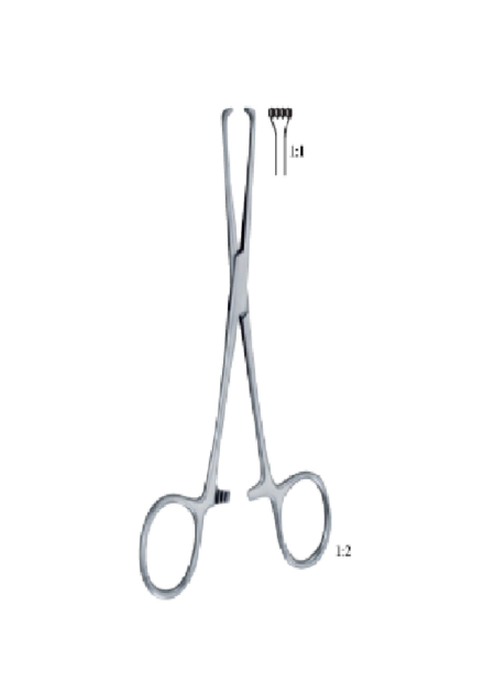 Allis-Baby 130 Mm - 5&Quot; Forcep