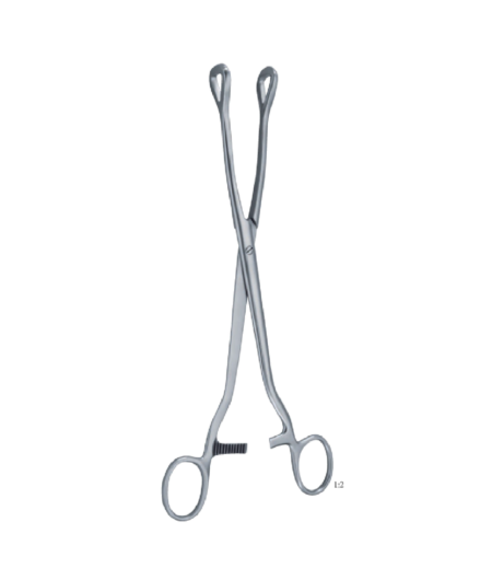 Luer 245 Mm - 9 3/ 4 &Quot; Forceps