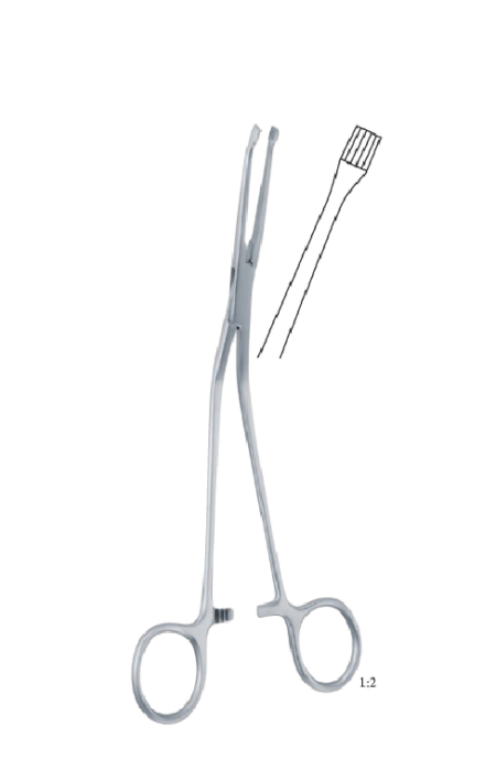 Mc Givney 190Mm - 7 1/ 2 &Quot; Forceps