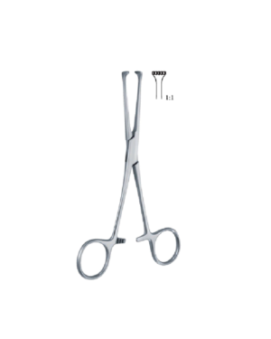 Allis 150mm - 6" Forcep