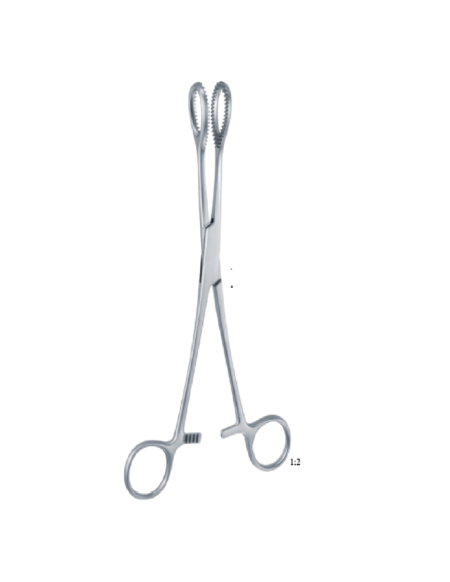 Heywood-Smith 210Mm - 8 1/4 '' Forcep