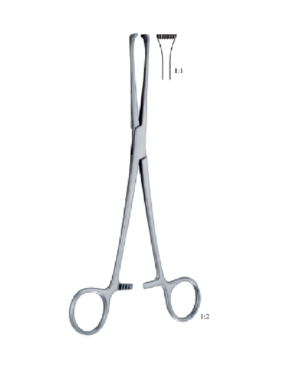 Thoms-Allis 200mm - 8" Forcep