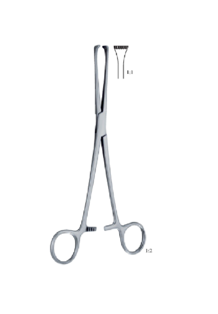 Thoms-Allis 200Mm - 8&Quot; Forcep