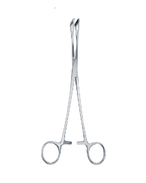 Scheibe 180mm - 7" forcep