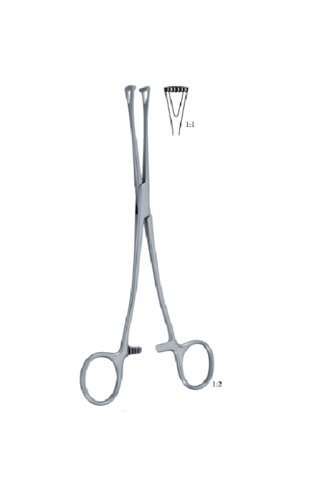 Lockwood 200 Mm - 8&Quot; Forcep