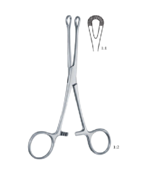 Williams 160 mm - 6 1/4" Forcep