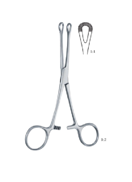 Williams 160 Mm - 6 1/4&Quot; Forcep