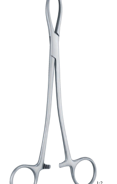 Intestinal Holding Forceps