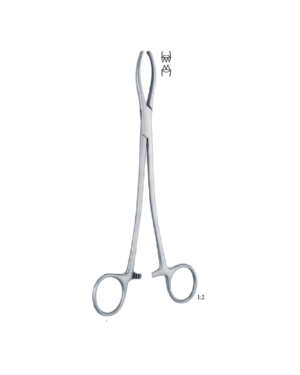 Littlewood 190mm - 71/ 2 " Forcep