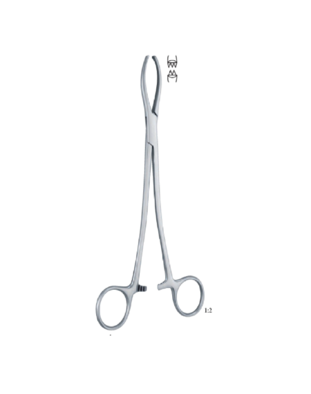 Littlewood 190Mm - 71/ 2 &Quot; Forcep